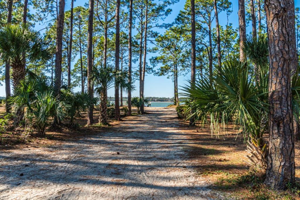 1686 Bluff Villas Renovated Sleeps 8 Walk To Salty Dog Sea Pines Hilton Head Island Exterior foto